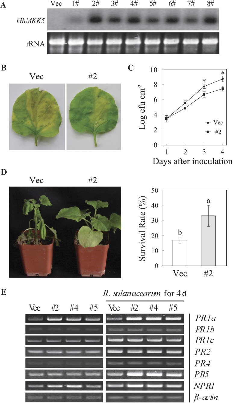 Fig. 5.