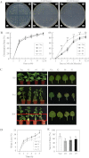 Fig. 10.