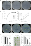 Fig. 9.