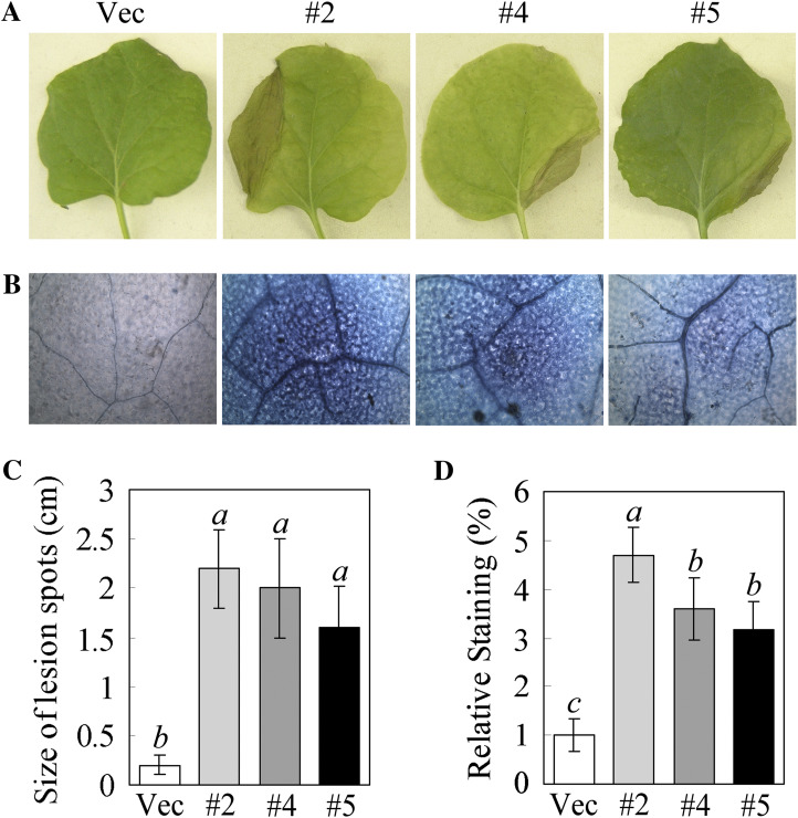 Fig. 7.