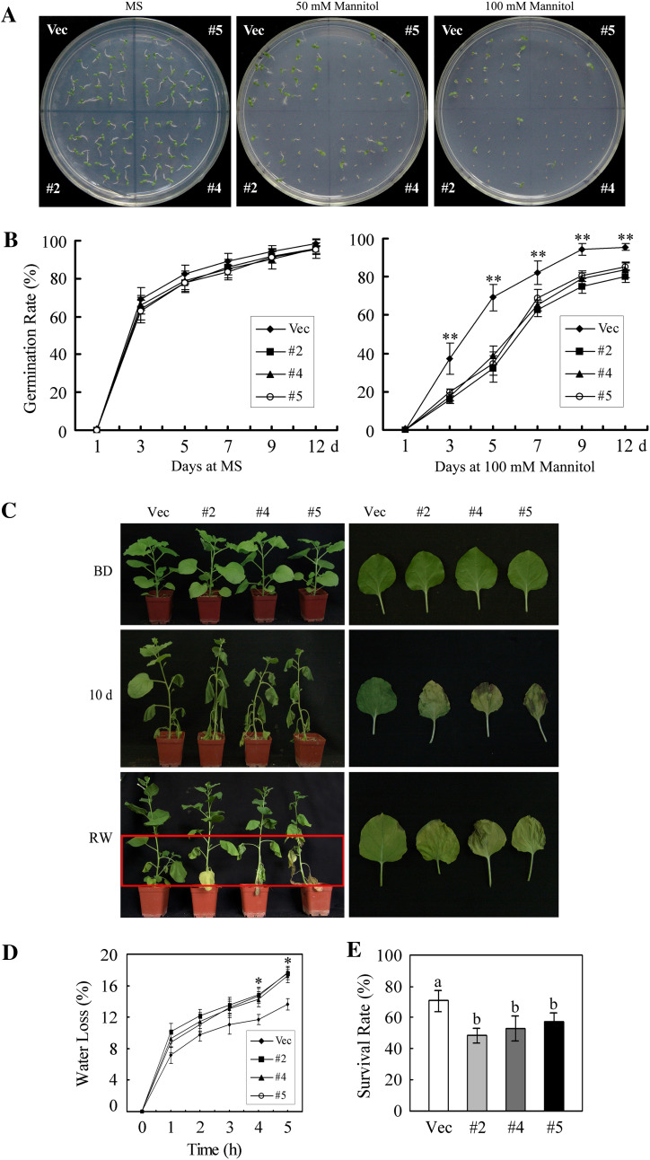 Fig. 10.