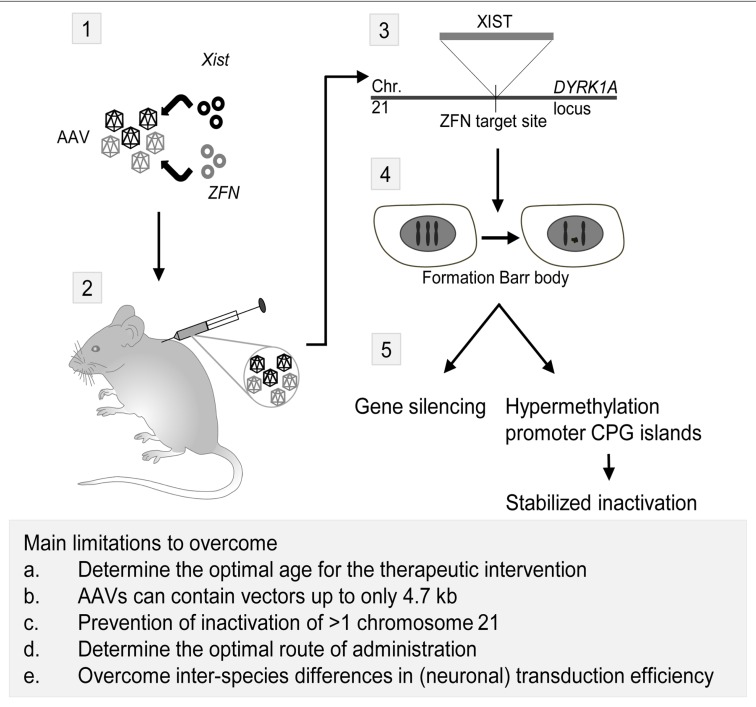 FIGURE 2