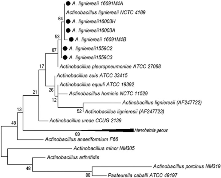 Figure 4.