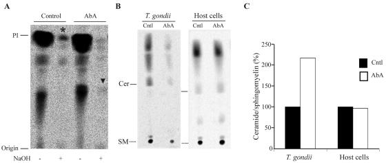 FIG. 7.