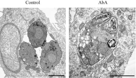 FIG. 6.