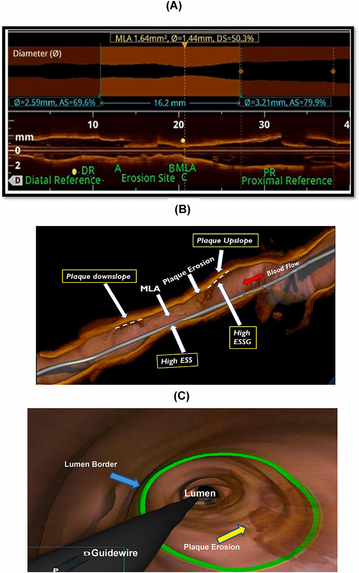 Fig. 3.