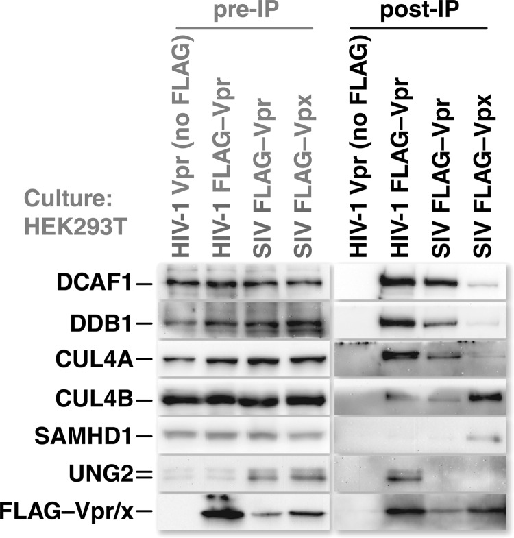 FIG 5