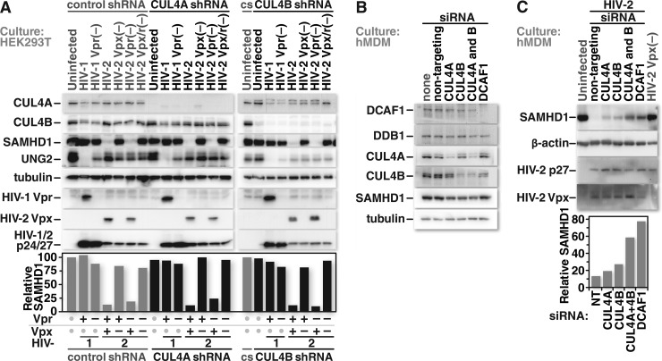 FIG 6