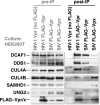 FIG 5