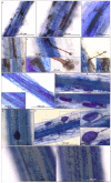 Figure 13