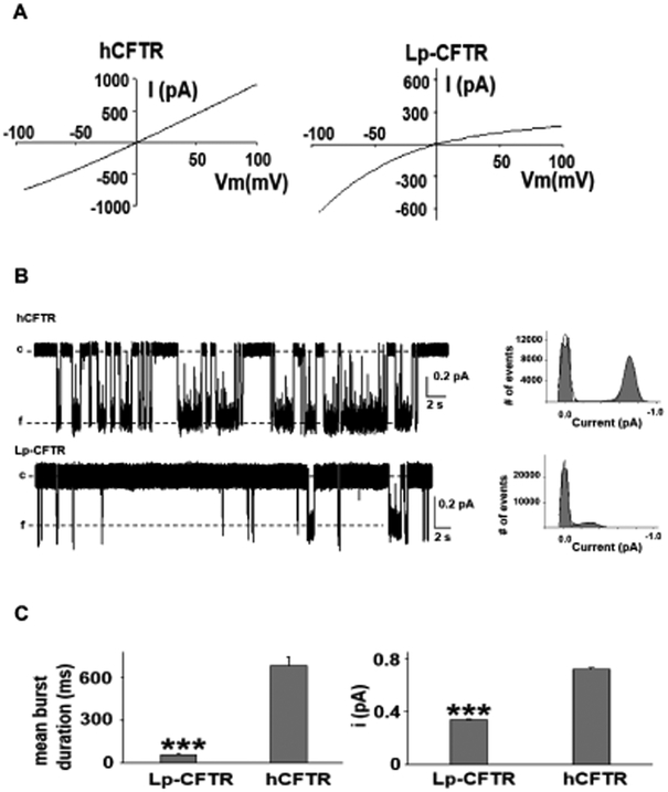 Figure 3: