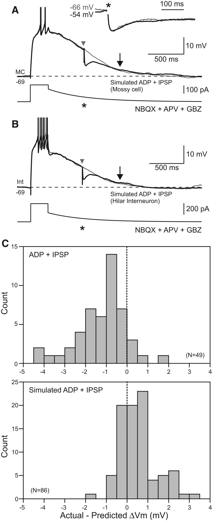 Figure 5.