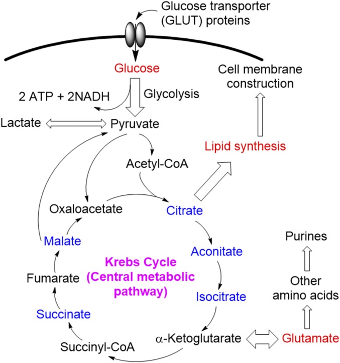 Fig. 2.