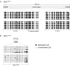Figure 2—figure supplement 2.