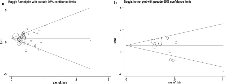 Fig. 5