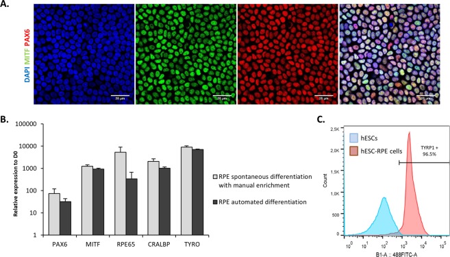 Figure 4