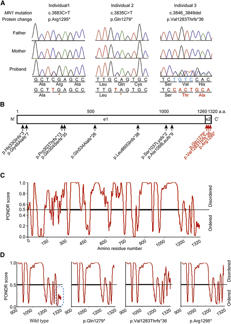 Figure 2