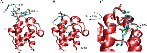 FIGURE 4.