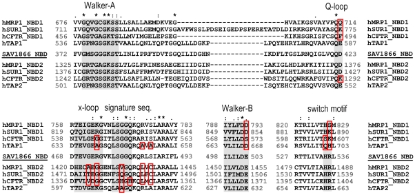 Figure 7