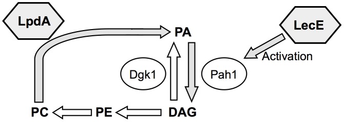 Figure 14