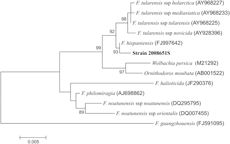 Fig. 1