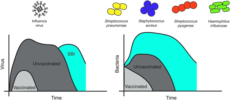 FIG. 2.