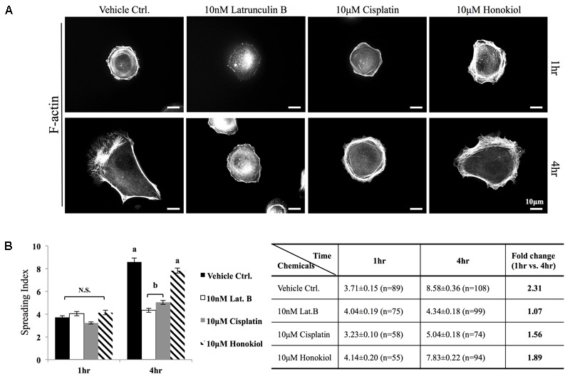 FIGURE 4