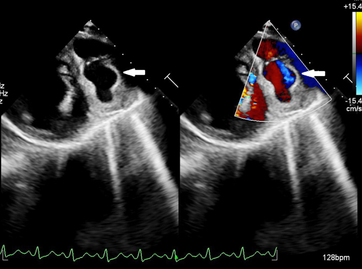 Figure 1