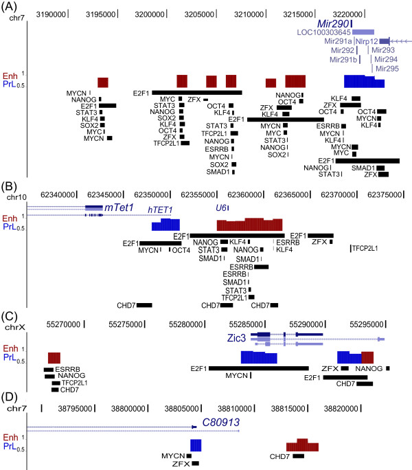 Figure 7