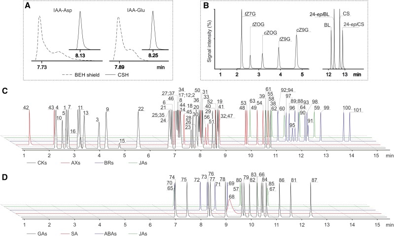 Figure 2.