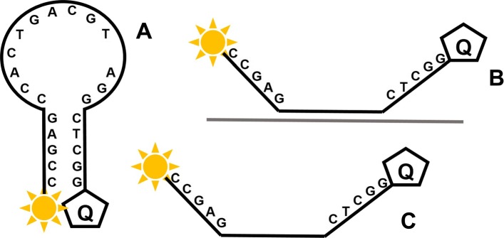 Fig. 12