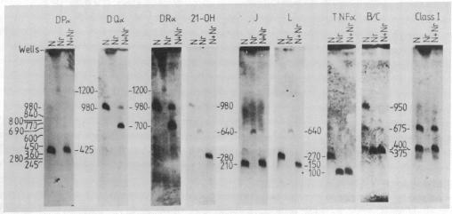 graphic file with name pnas00335-0286-a.jpg