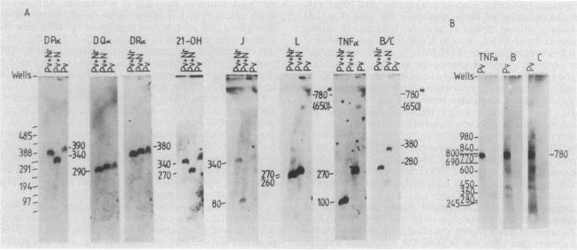 graphic file with name pnas00335-0287-a.jpg