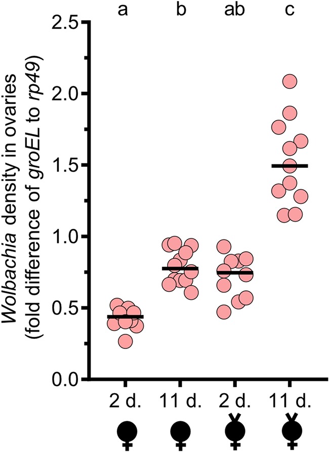 FIG 3