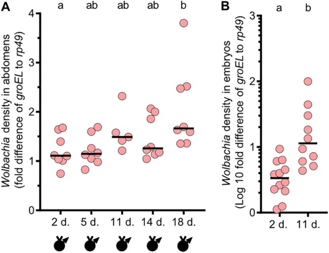 FIG 2