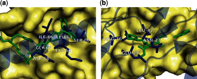 Fig. 2.