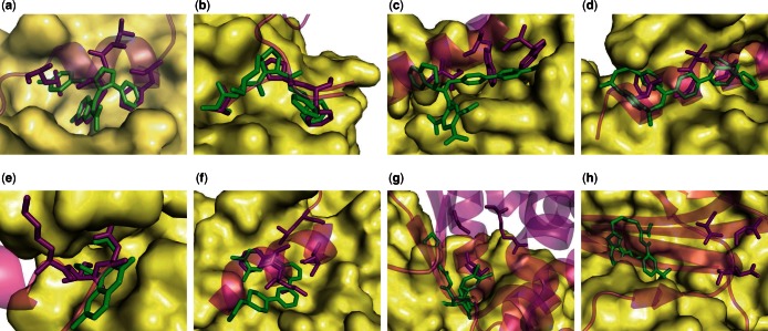 Fig. 3.