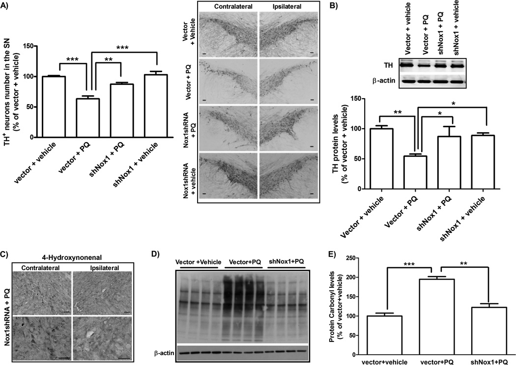 FIG. 8