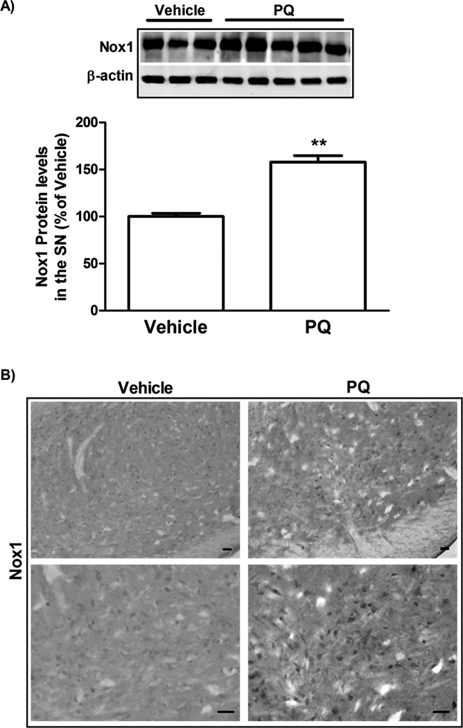 FIG. 6