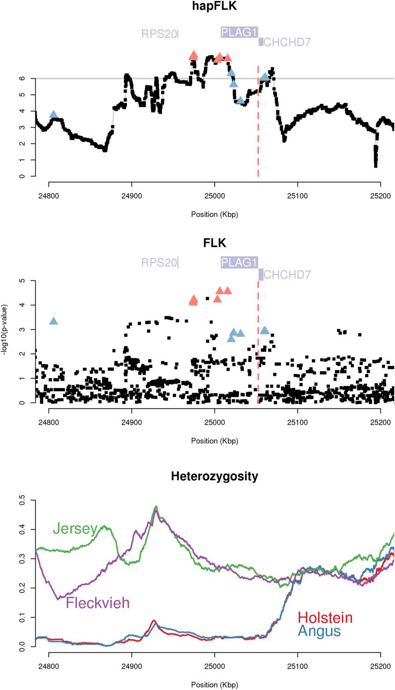 Figure 7