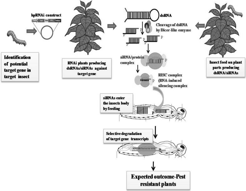 Fig. 2