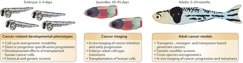 Figure 2 |