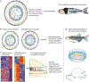 Figure 3 |