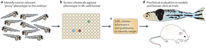 Figure 5 |