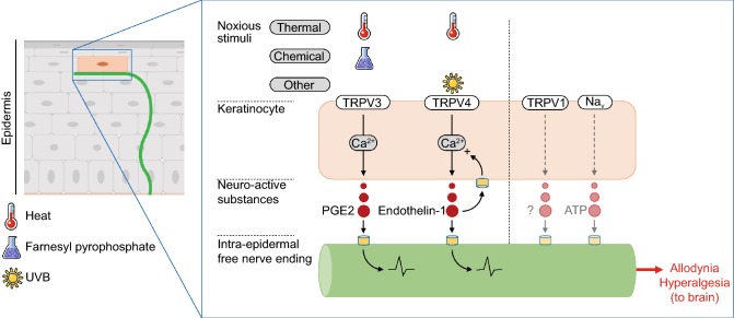 Figure 4