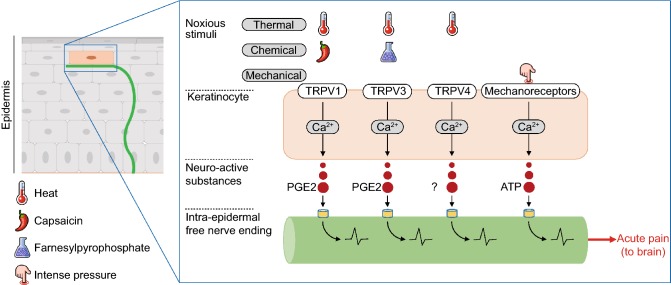 Figure 3