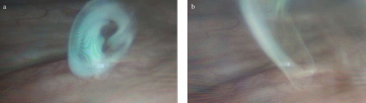 Figure 1. a, b