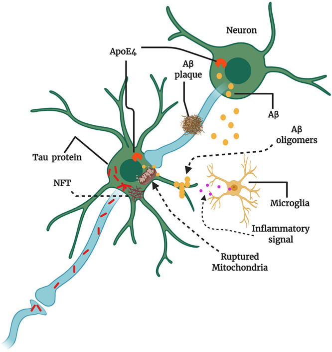 FIGURE 2
