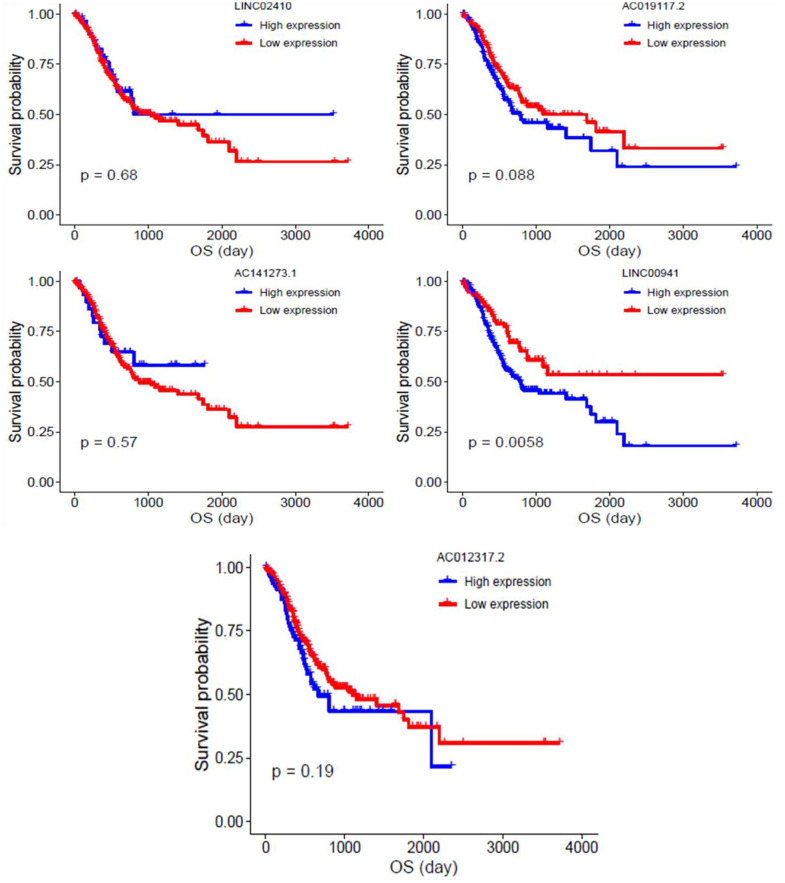 Testing Lncrnas Signature As Clinical Stage–related Prognostic Markers 