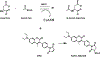 Scheme 2 -